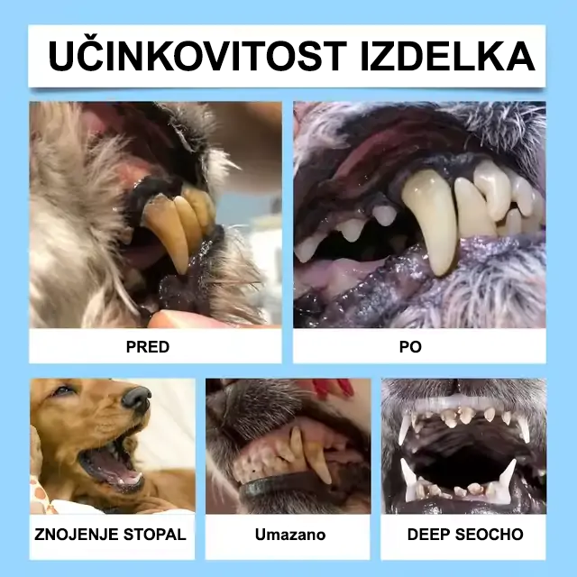 【𝐔𝐫𝐚𝐝𝐧𝐚 𝐭𝐫𝐠𝐨𝐯𝐢𝐧𝐚】🐕‍🦺𝐋𝐮𝐱𝐚𝗿𝗶𝘀𝗲® 𝐭𝐞𝐤𝐨č𝐢𝐧𝐚 𝐳𝐚 𝐮𝐬𝐭𝐧𝐨 𝐧𝐞𝐠𝐨 𝐳𝐨𝐛 𝐢𝐧 𝐩𝐫𝐞𝐛𝐚𝐯𝐧𝐞𝐠𝐚 𝐳𝐝𝐫𝐚𝐯𝐣𝐚 𝐳𝐚 𝐡𝐢š𝐧𝐞 𝐥𝐣𝐮𝐛𝐥𝐣𝐞𝐧č𝐤𝐞 –𝐬𝐯𝐞ž 𝐝𝐚𝐡, 𝐦𝐚𝐧𝐣 𝐳𝐨𝐛𝐧𝐞𝐠𝐚 𝐤𝐚𝐦𝐧𝐚 𝐢𝐧 𝐩𝐨𝐝𝐩𝐨𝐫𝐚 𝐫𝐞𝐠𝐞𝐧𝐞𝐫𝐚𝐜𝐢𝐣𝐢 𝐝𝐥𝐞𝐬𝐧𝐢(𝐳𝐚 𝐦𝐚č𝐤𝐞 𝐢𝐧 𝐩𝐬𝐞) – 𝐩𝐫𝐢𝐡𝐫𝐚𝐧𝐢𝐭𝐞 𝐝𝐨 𝟕𝟎 % š𝐞 𝐝𝐚𝐧𝐞𝐬!