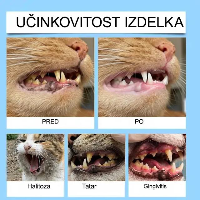 【𝐔𝐫𝐚𝐝𝐧𝐚 𝐭𝐫𝐠𝐨𝐯𝐢𝐧𝐚】🐕‍🦺𝐋𝐮𝐱𝐚𝗿𝗶𝘀𝗲® 𝐭𝐞𝐤𝐨č𝐢𝐧𝐚 𝐳𝐚 𝐮𝐬𝐭𝐧𝐨 𝐧𝐞𝐠𝐨 𝐳𝐨𝐛 𝐢𝐧 𝐩𝐫𝐞𝐛𝐚𝐯𝐧𝐞𝐠𝐚 𝐳𝐝𝐫𝐚𝐯𝐣𝐚 𝐳𝐚 𝐡𝐢š𝐧𝐞 𝐥𝐣𝐮𝐛𝐥𝐣𝐞𝐧č𝐤𝐞 –𝐬𝐯𝐞ž 𝐝𝐚𝐡, 𝐦𝐚𝐧𝐣 𝐳𝐨𝐛𝐧𝐞𝐠𝐚 𝐤𝐚𝐦𝐧𝐚 𝐢𝐧 𝐩𝐨𝐝𝐩𝐨𝐫𝐚 𝐫𝐞𝐠𝐞𝐧𝐞𝐫𝐚𝐜𝐢𝐣𝐢 𝐝𝐥𝐞𝐬𝐧𝐢(𝐳𝐚 𝐦𝐚č𝐤𝐞 𝐢𝐧 𝐩𝐬𝐞) – 𝐩𝐫𝐢𝐡𝐫𝐚𝐧𝐢𝐭𝐞 𝐝𝐨 𝟕𝟎 % š𝐞 𝐝𝐚𝐧𝐞𝐬!
